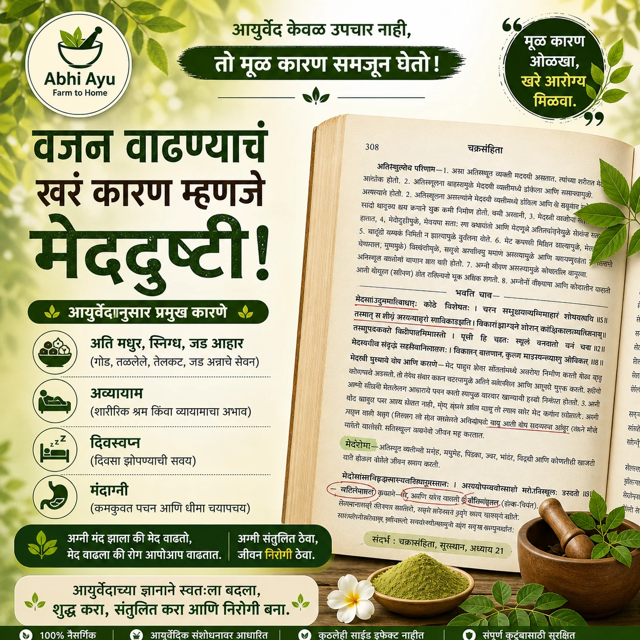 Ayurvedic Weight Loss Combo - Image 6