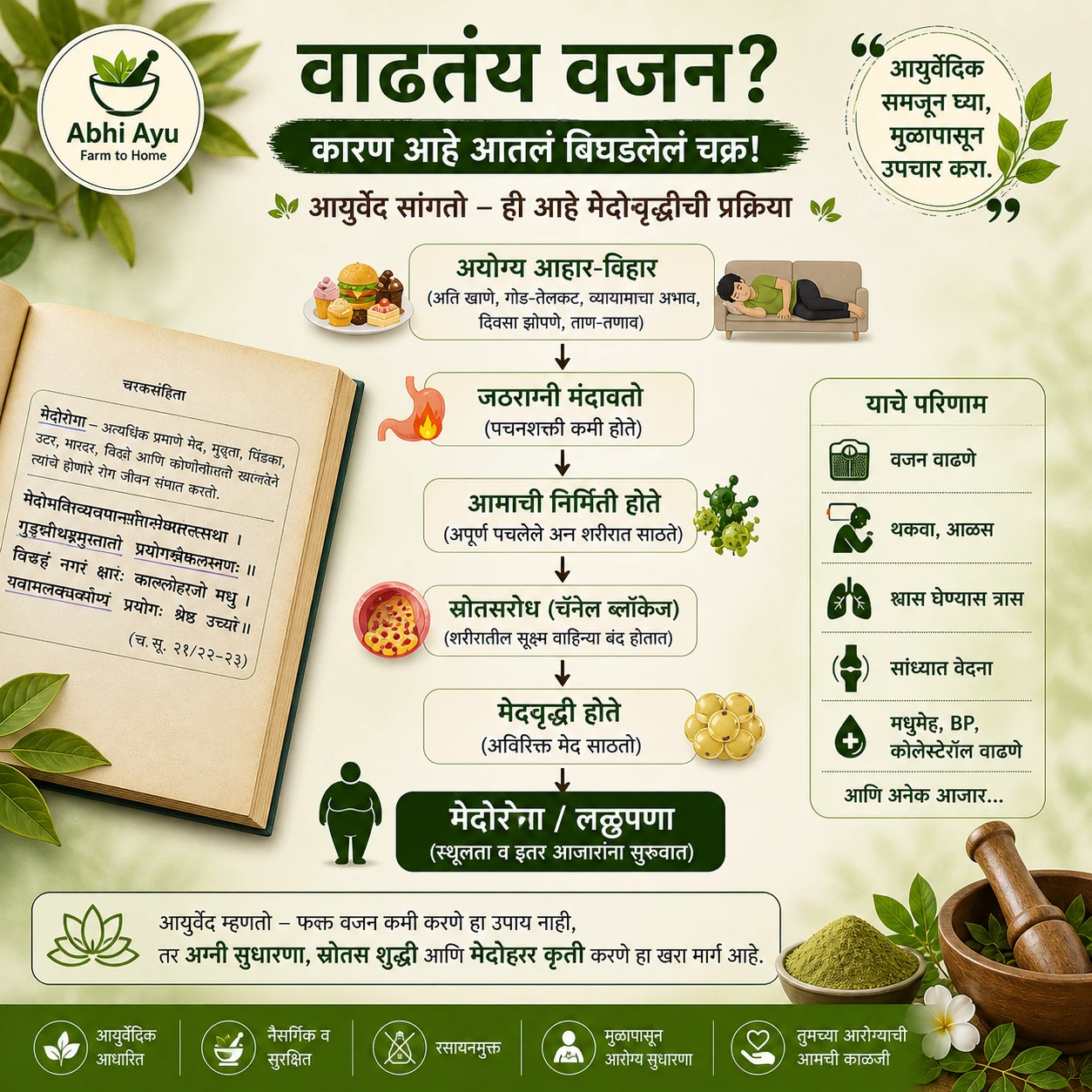 Ayurvedic Weight Loss Combo - Image 5